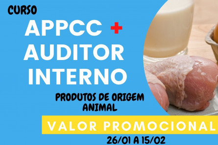 Imagem APPCC + AUDITOR INTERNO - NBR ISO 19011:2018