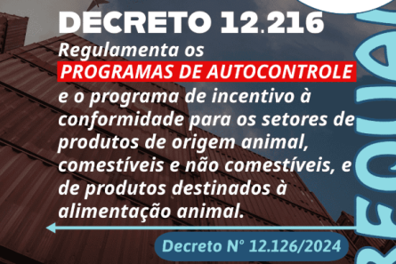 Imagem DECRETO 12.216/2024